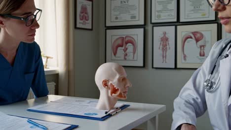 doctor examining a human head model