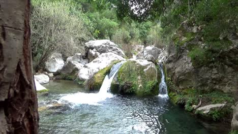 shot from behind a tree moving to view the stream in akchour morocco