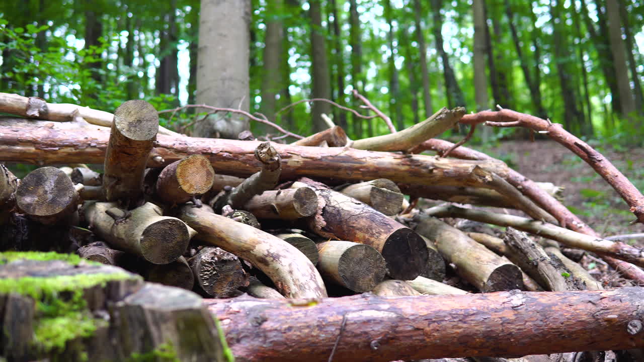 나뭇가지를 조각으로 자르고 더미에 넣은 패닝 샷