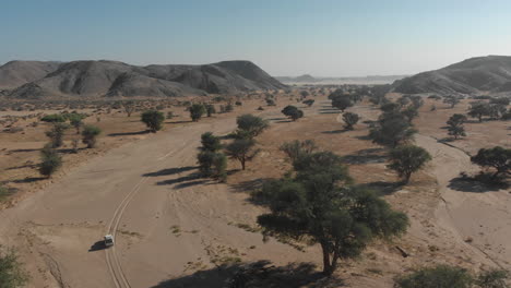 seguimiento aéreo de camión todoterreno a través de la escena del desierto