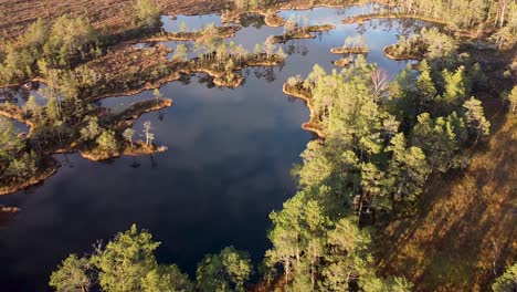 aerial drone flying backwards above dark bog lakes in tolkuse bog during sunset