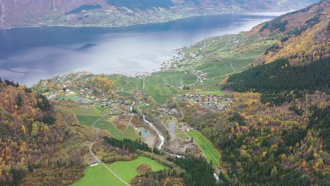 farmland and residential area in lofthus hardanger norway - stunning aerial at fall with orange colored trees during agriculture harvest season - sorfjorden sea in background