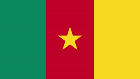 the flag of cameroon appearing under the name of the country