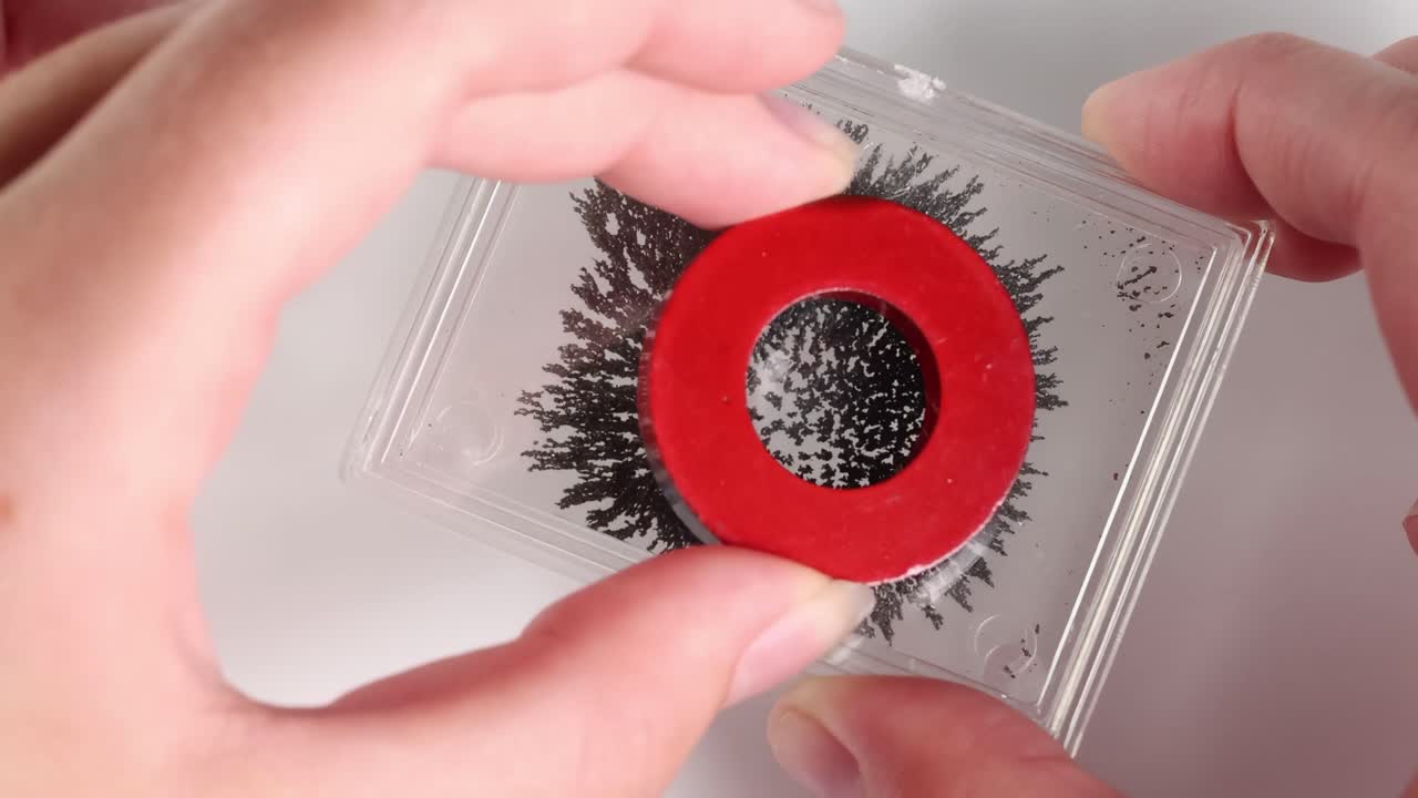 Hands demonstrate magnetic effects using red and blue ring magnets on iron filings in a clear container.