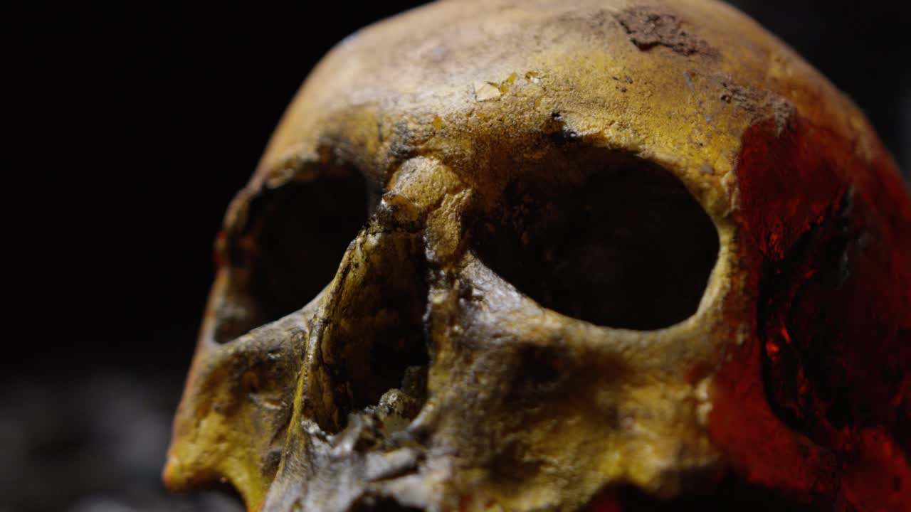 Primo piano di un teschio consumato dalla luce fioca, che evoca mistero e storia.