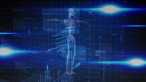 human skeleton and medical data analysis animation over blue digital background