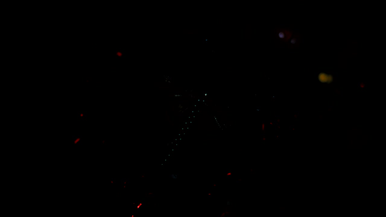 árbol de navidad y luces de navidad, feliz navidad y felices fiestas, árbol de navidad decorado