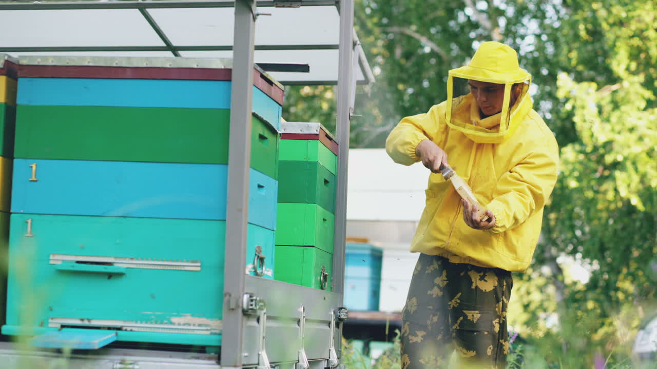 Beekeeper inspecting honeycomb at apiary
