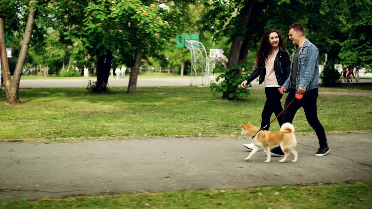 un hombre y una mujer jóvenes y alegres están paseando con el perro en el parque cerca del campo deportivo, la gente se da de la mano, el tipo está liderando el animal. vida urbana y concepto de mascotas.