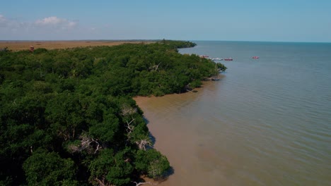 Drone-flying-over-the-treeline-against-the-ocean