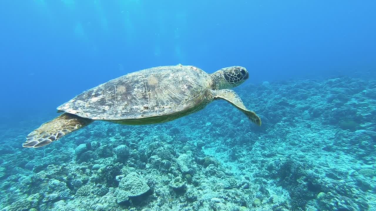 Okinawa Island, Japan