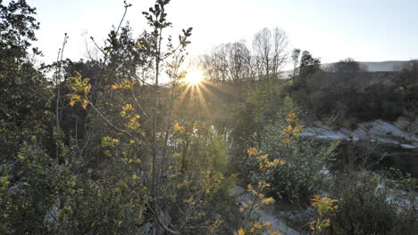 Principios-De-Primavera-Puesta-De-Sol-En-La-Naturaleza-Garriga-Cerca-De-Montpellier-Al-Sur-De-Francia