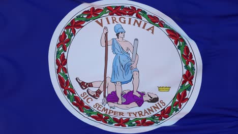 flag of virginia state, region of the united states, waving at wind