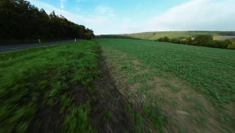 Fast-low-angle-FPV-drone-shot-over-farming-grounds-to-raise-above-trees-in-Czech-republic