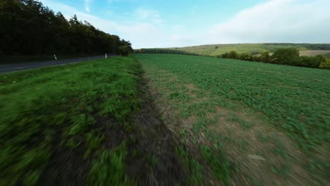 un dron fpv rápido de ángulo bajo disparó sobre terrenos agrícolas para elevarse por encima de los árboles en la república checa