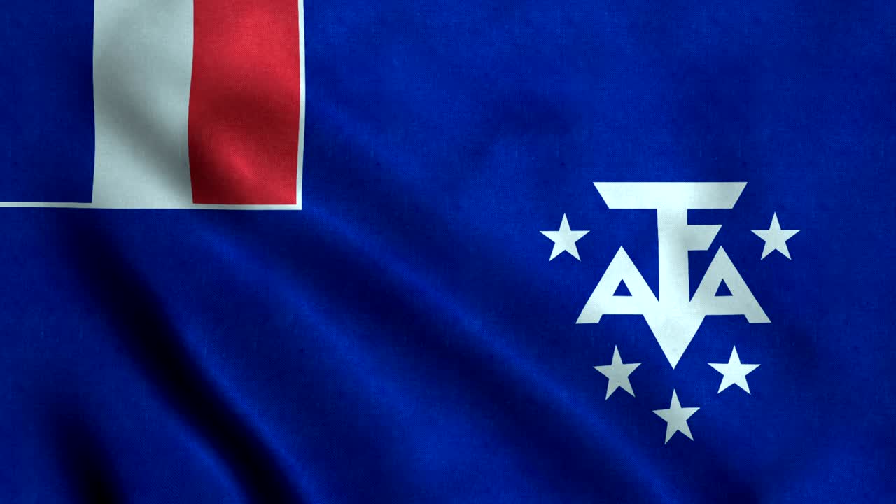 아델리 랜드의 4k 무결 루프 발