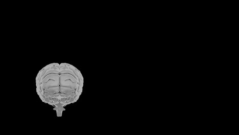 digital animation of chemicals structures floating against human brain and dna structure spinning on