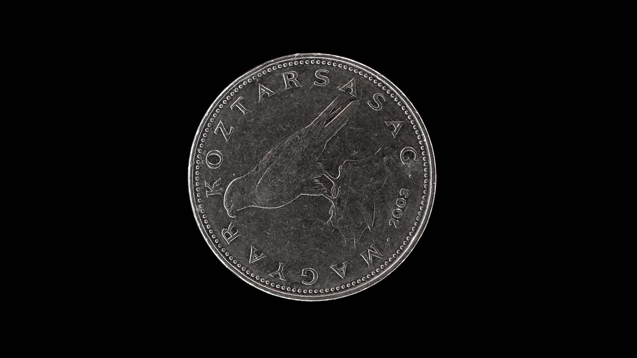 Hungary 50 forint 2003 obverse with Saker Falcon design, macro loop on black background