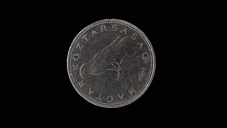 hungary 50 forint 2003 obverse with saker falcon design, macro loop on black background