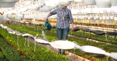 granjero regando plantas en invernadero