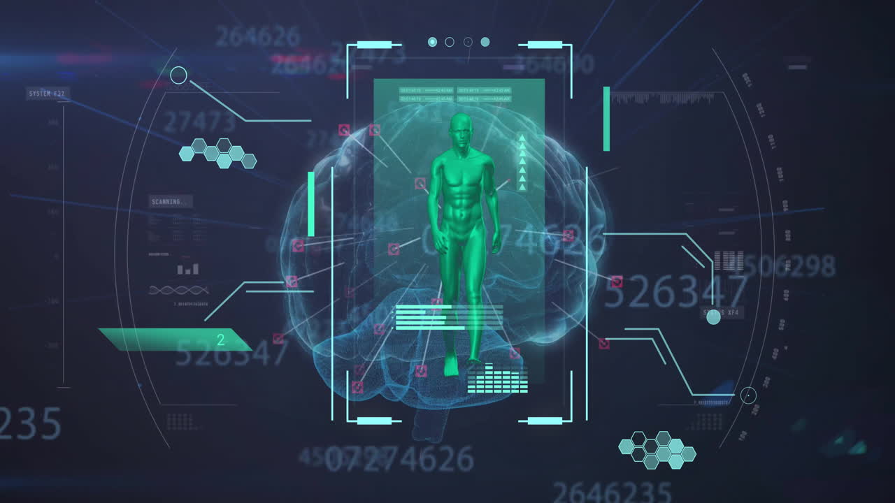 Animation of data processing over digital human and brain model on black background