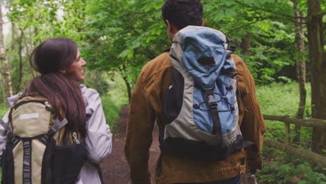 over the shoulder view of young couple hiking along path through trees in countryside with pet golden retriever dog on leash - shot in slow motion