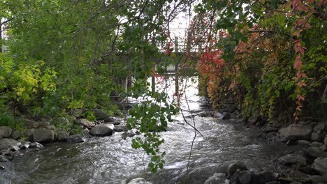 El-Agua-Se-Mueve-Eternamente-Bajo-Este-Puente