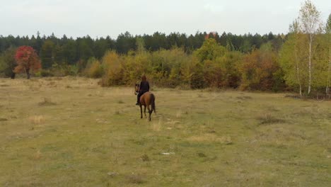 tiro de seguimiento aéreo bajo de niña montando a caballo en el campo de hierba-3
