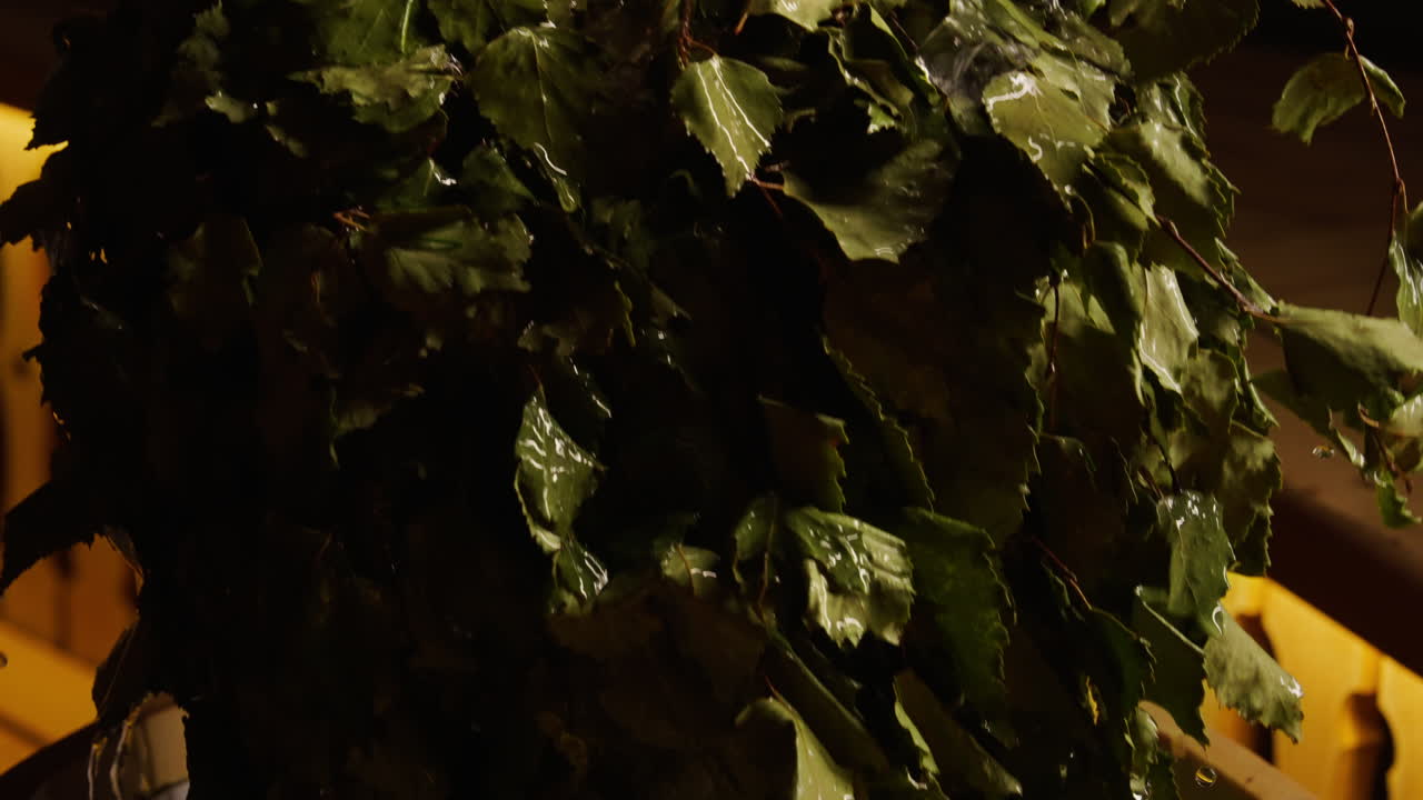 Birch Broom in a Sauna