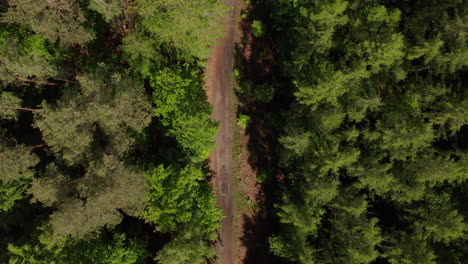 Antena:-Toma-Lenta-De-Un-Dron-De-Arriba-Hacia-Abajo-De-Un-Camino-De-Tierra-En-Un-Rico-Bosque-Verde-En-Alemania-Bosques-Europeos-En-Hermosos-Tonos-De-Color-Verde