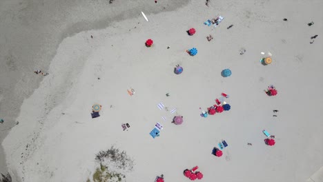 beach scene from above umbrellas and people