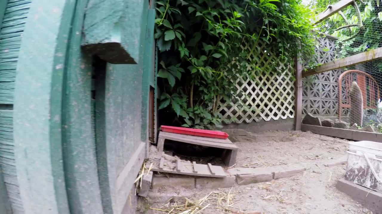 ⁇ 집에 들어온  ⁇  4k