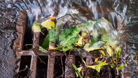 Storm-drain-in-heavy-rain-water-flow-partially-blocked-by-leaves,-branches-and-plastic-bag-environmental-pollution-flood-in-the-city