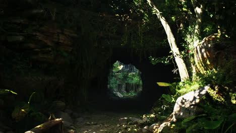 dark jungle entrance