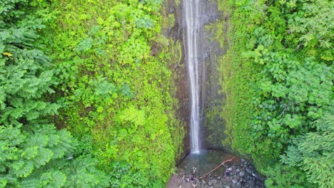 stationary shot of mao'a falls on the island of oahu hawaii with the dense green rainforest surrounding the rock face