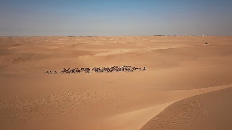 An aerial view of a caravan crossing a desert