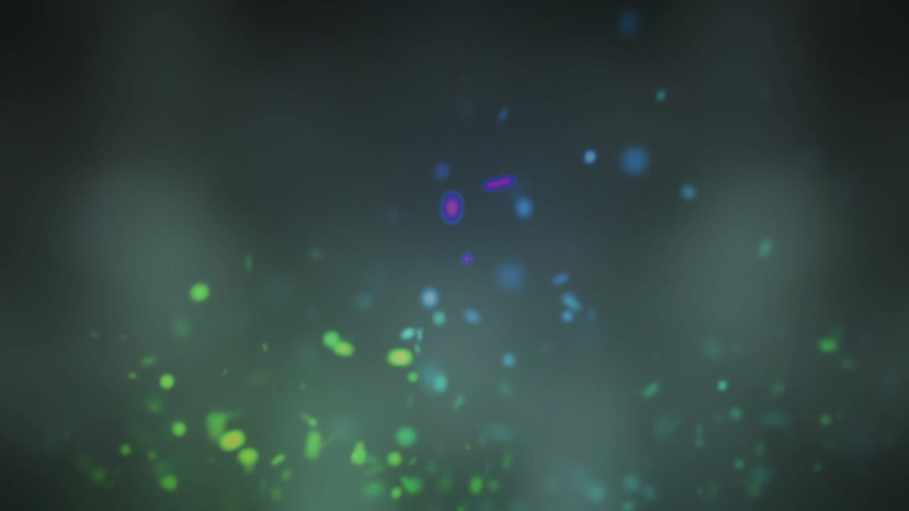 Green and purple spots of lights moving against black background