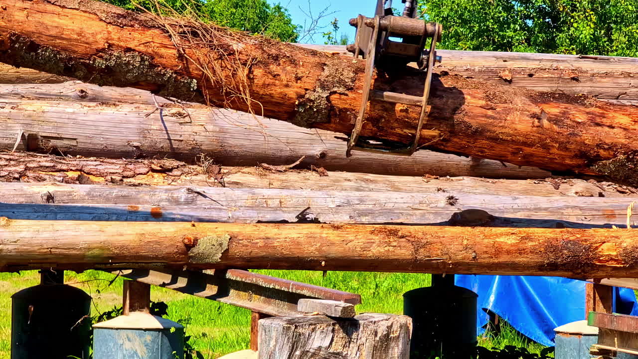 Mechanical grab lifting heavy logs during wood loading process on sunny summer day