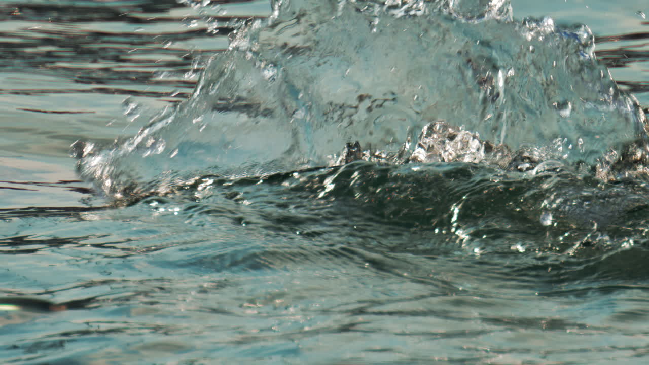 A cormorant swims and dives into the clear blue sea near the coast