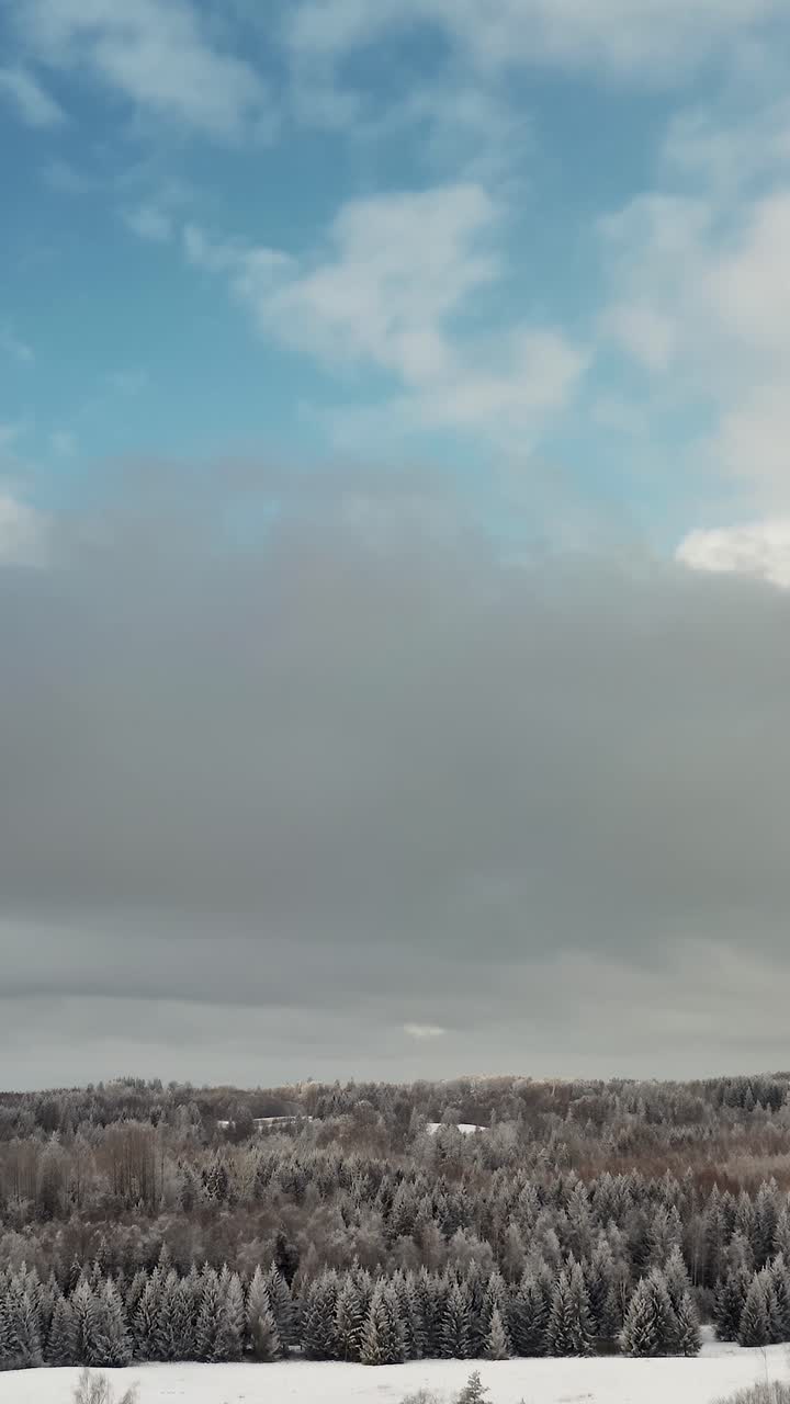 Stunning vertical aerial drone view of snowy winter forest under a dramatic cloudy sky with sunlight breaking through.