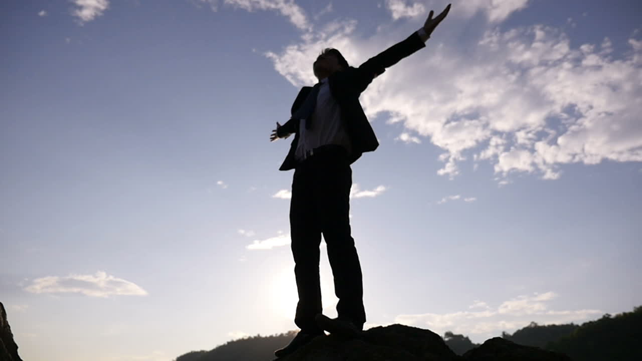 Businessman celebrating success on a mountaintop