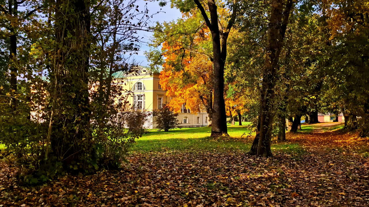 Shot of a palace with big garden in foreground covered in leaves during fall season