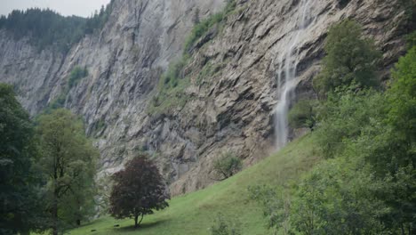 Lauterbrunnen-Schweiz-Europa-Wasserfall-Alm-Wiese-Hügel