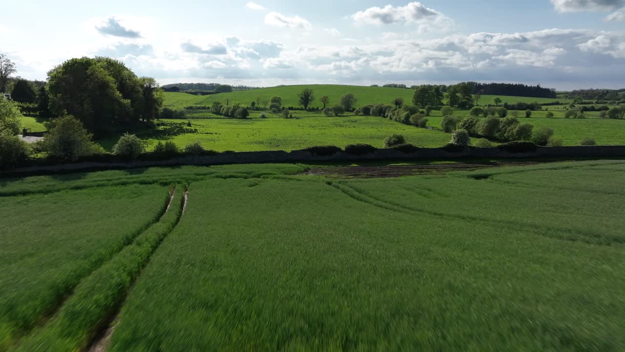 Caledon Border Wall, County Tyrone, Northern Ireland, May 2023. Drone moving forward, scenic stone heritage lush farmlands, green pastures and cloudy, countryside view.