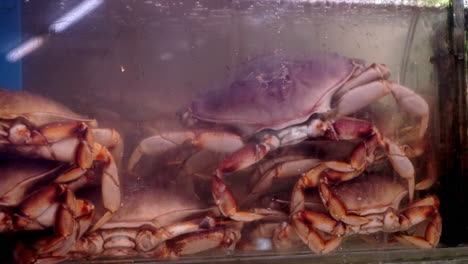 Ein-Becken-Mit-Lebenden-Braunen-Krabben-Auf-Einem-Fischmarkt-In-Chinatown