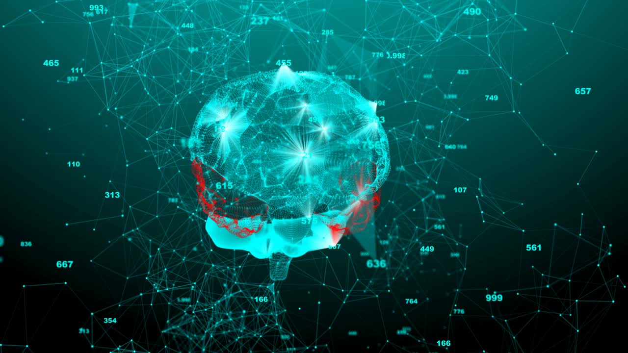 인간의 회전하는 뇌, 크서스 구조, 진화하는 뇌, 원활한 루프