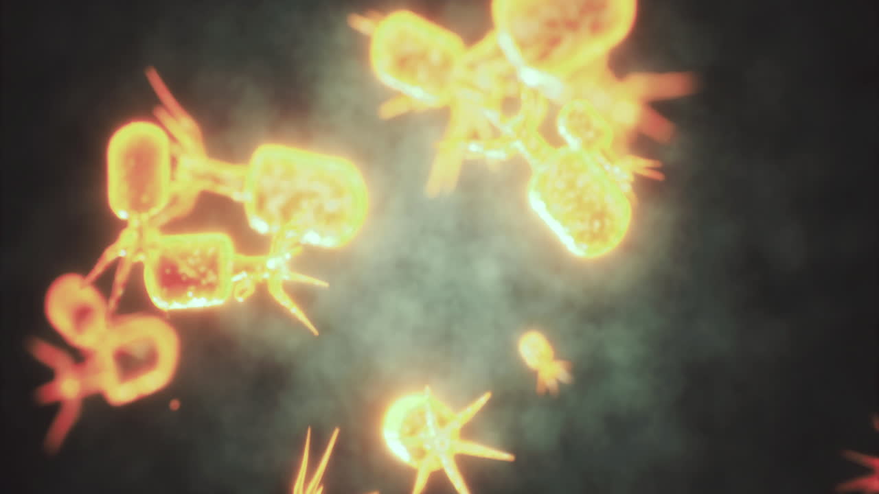 Exploring the dazzling world of micro organisms glowing in the dark