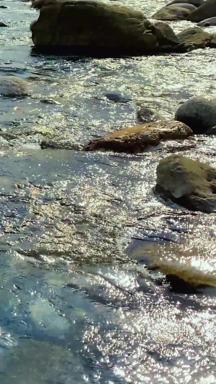 Acqua limpida di fiume che scorre su massi levigati a Bichanakandi, Sylhet, Bangladesh, con scintillanti riflessi di luce solare e uno scenario naturale di ruscello di montagna.