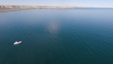 Beautiful-Patagonian-Landscape-scenic-view-Boat-Approaching-Whales---Aerial-Shot