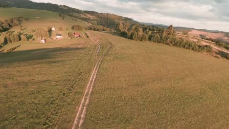 drone de carreras de fpv aéreo volando colina abajo entre los árboles y sobre un camino sin pavimentar en un hermoso paisaje iluminado por el sol con árboles que proyectan largas sombras